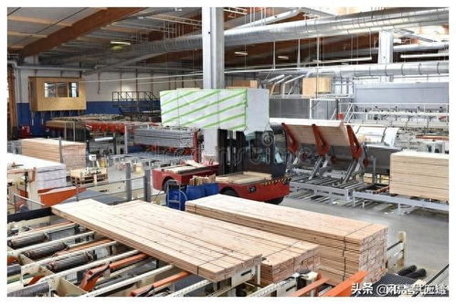 德国8月木材市场价格大跌 锯木厂采取防御性定价措施